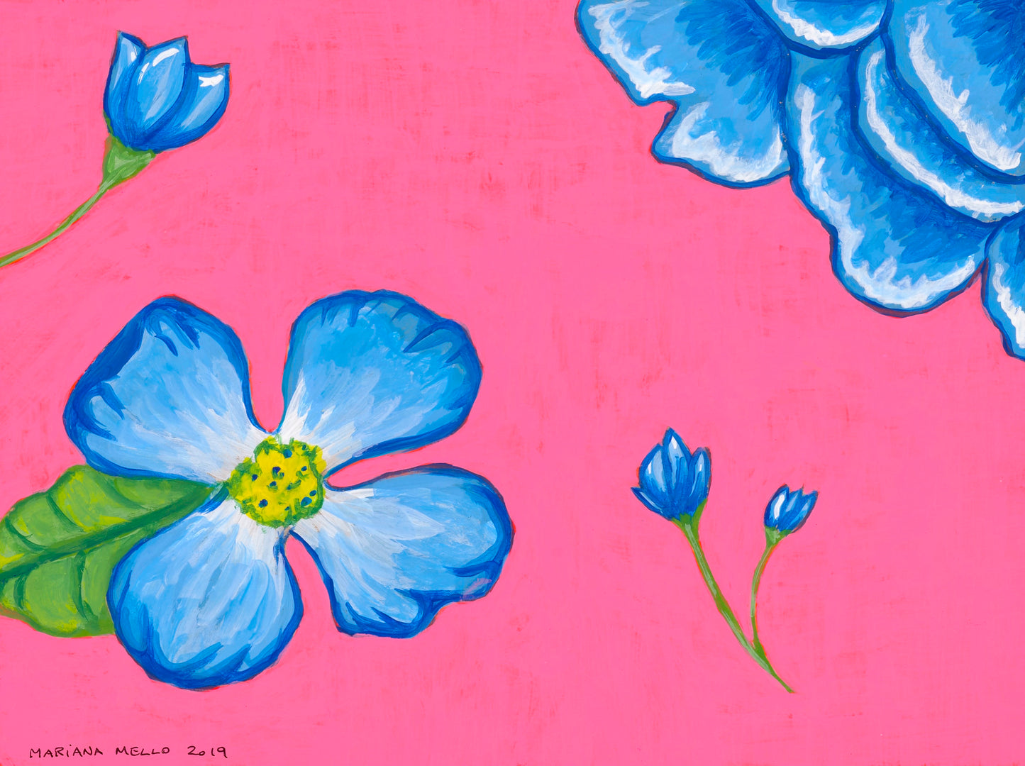 Flower Study Pink (2019)